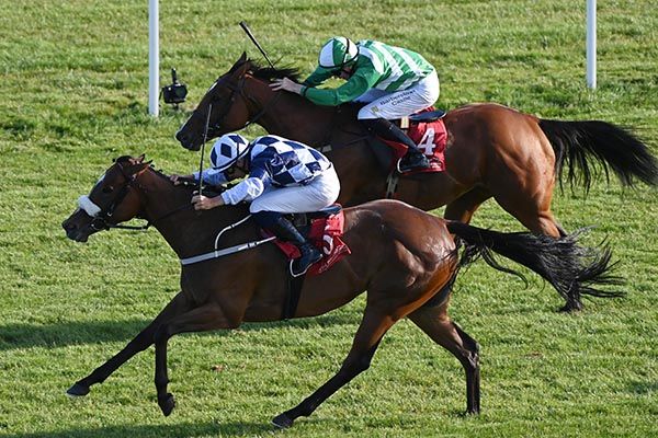 El Fontenaro seals Ronan Whelan's double