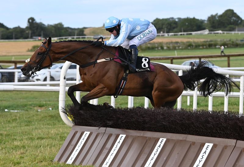 Rusty Harkness and Darragh O'Keeffe 