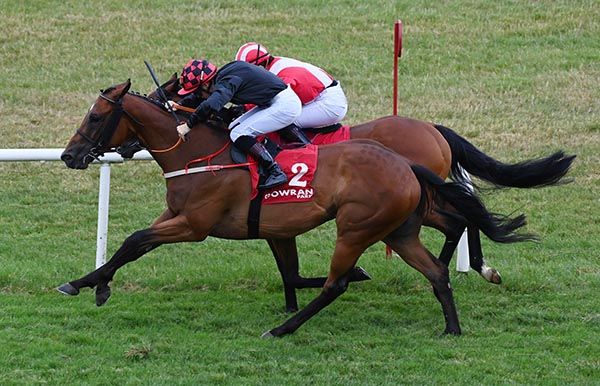 Dynamic Force (nearest) just holds The Blue Panther 