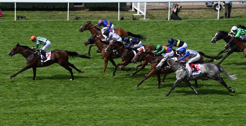 Amazing Journey won at Ascot for trainer Jamie Osborne 