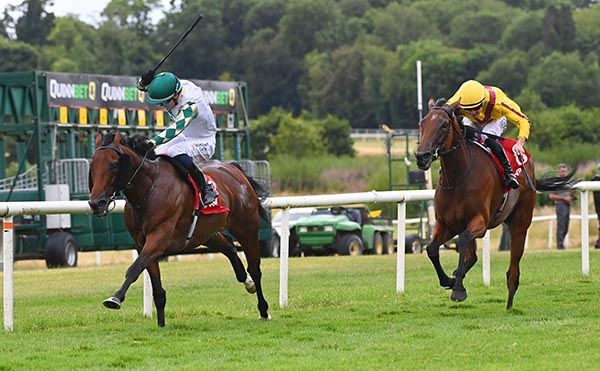 Nil Bua Gan Dua is chased by stablemate Vauntingly