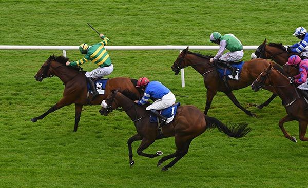 Comfort Zone and Derek O'Connor 