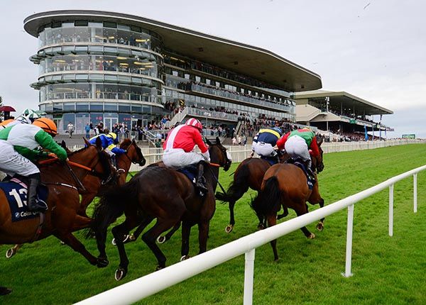 Orandi and Robbie Colgan (red with white panel) weave their way through the field at the furlong pole 