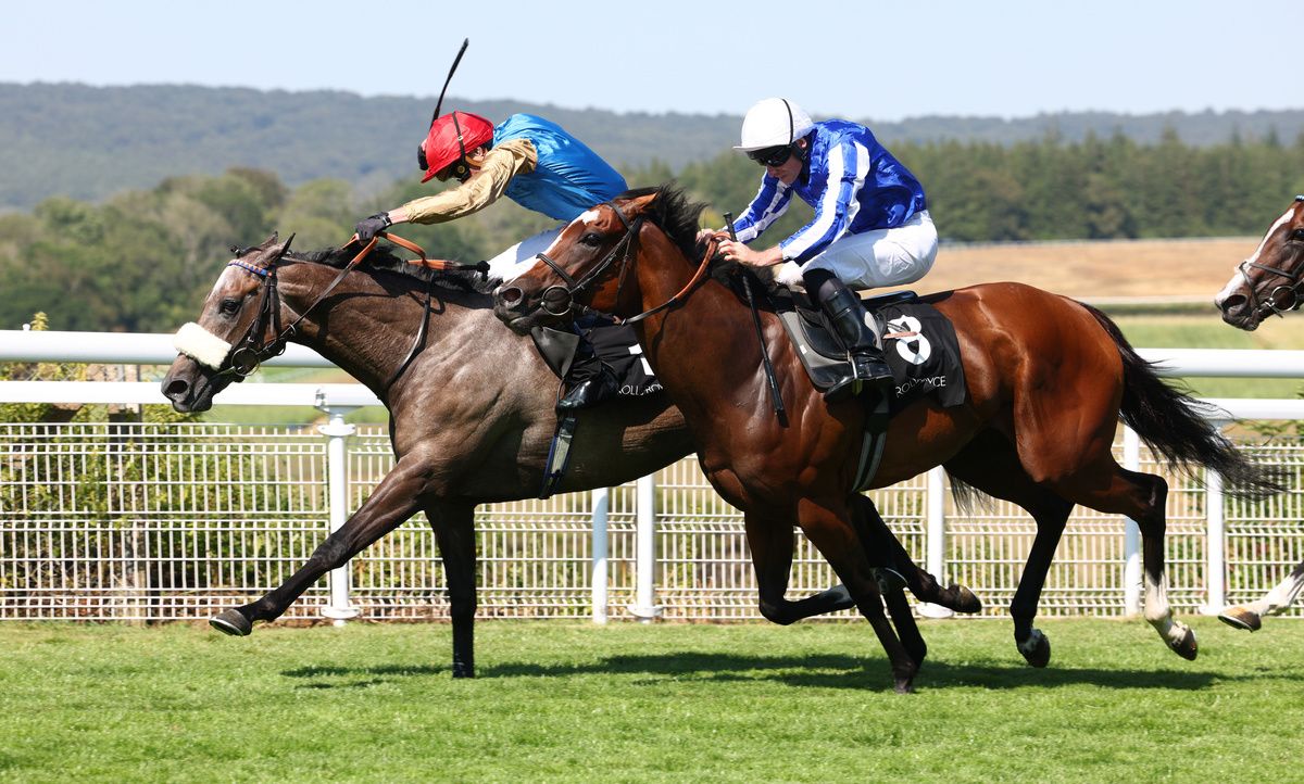 Flora Of Bermuda (noseband) holds Sayidah Dariyan