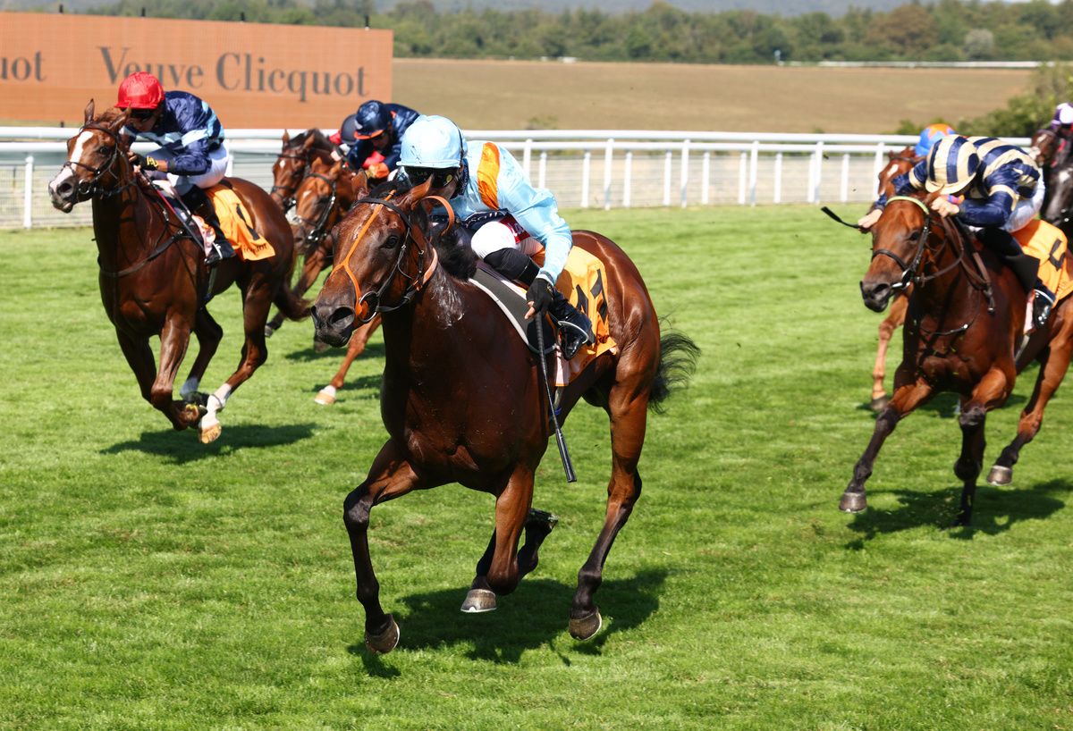 Pershaada and Sean Levey (light blue) 
