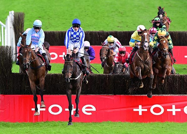 King Alexander and Dan King (royal blue and white checks) jump the last 