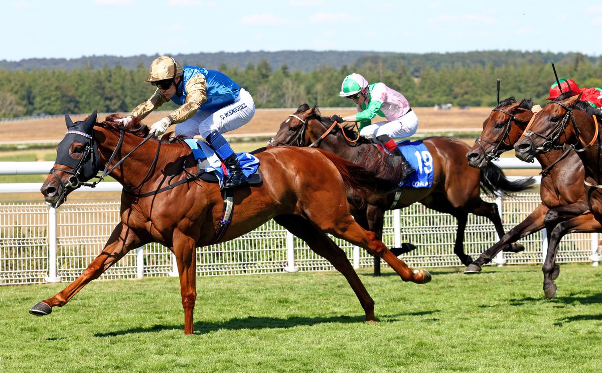 Archivist and Callum Rodriguez win the Golden Mile 