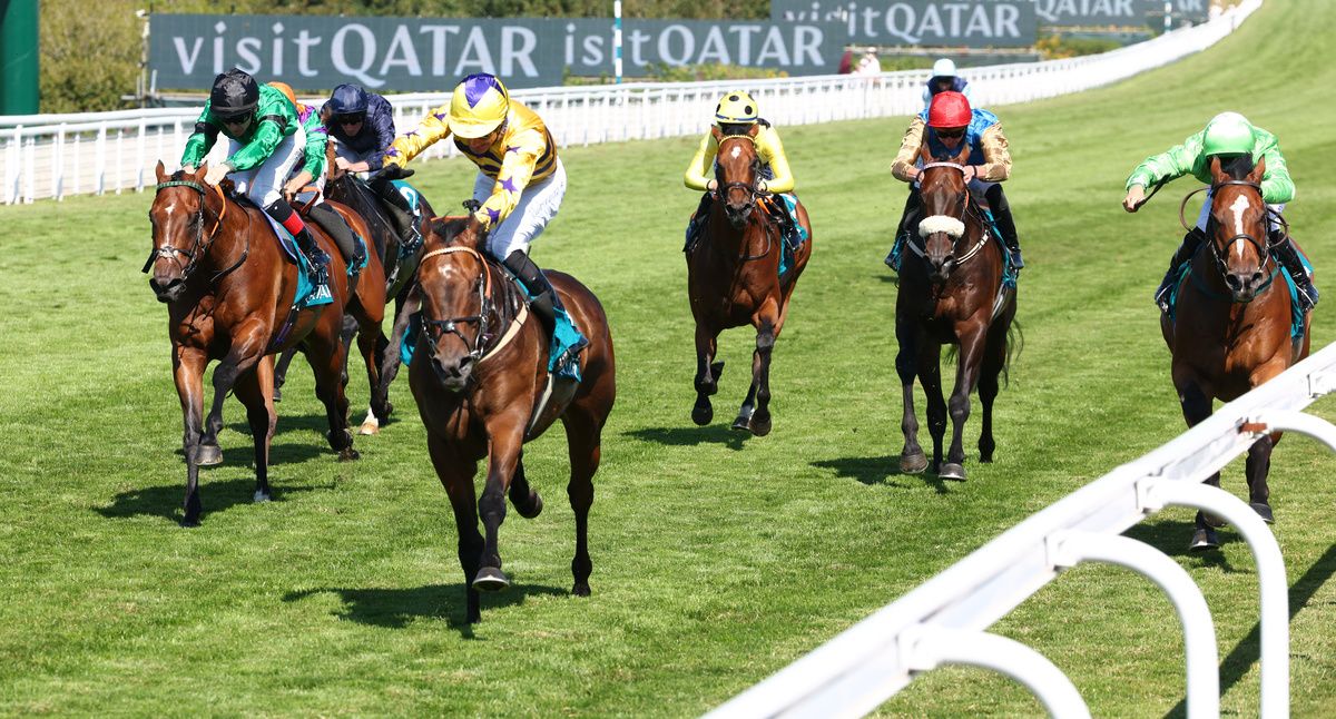 American Affair and Paul Mulrennan (yellow)