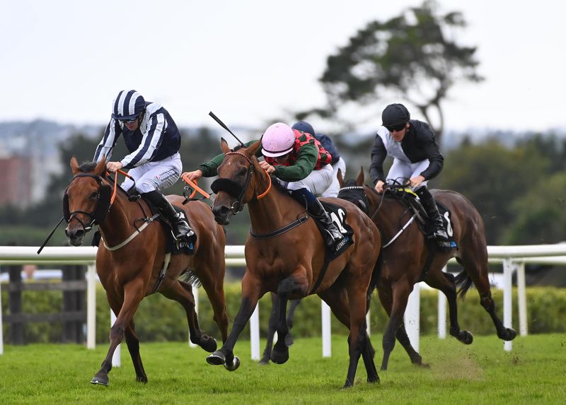 Stellar Moment and Ronan Whelan (pink cap) pip Porters Corner by a nose