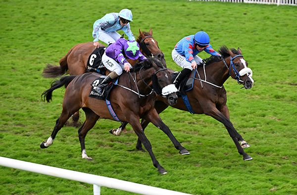 Counting Coup (blue) just holds Taipan