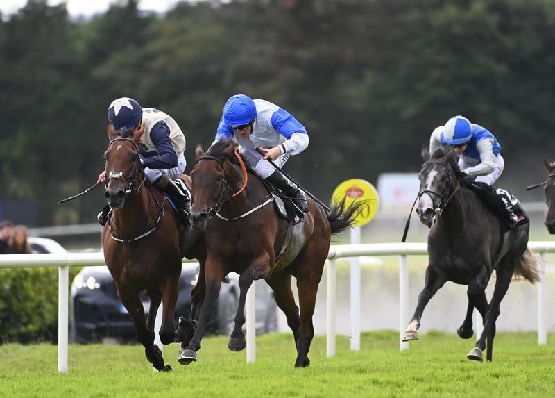 Rest Your Mind and Billy Lee win for trainer Ger O Leary 