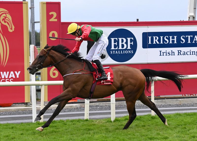 Dunum and Billy Lee win for trainer Natalia Lupini 