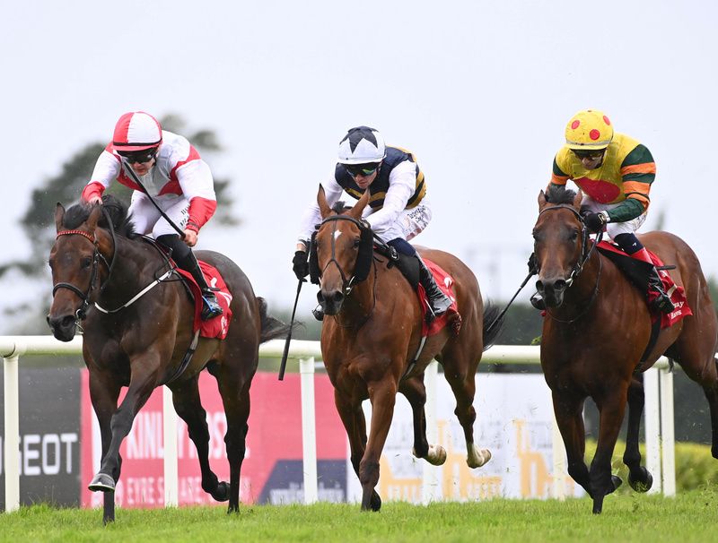 Oristown Boy and Rory Mulligan win for trainer Joseph Murray 