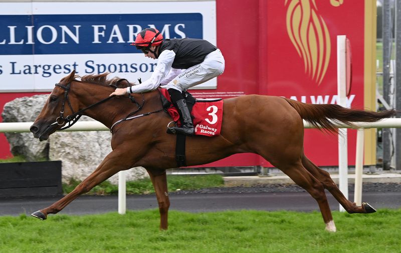 Blue Blue Moon and Patrick McGettigan win for trainer Johnny Murtagh 
