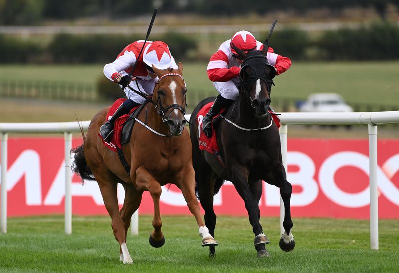 Red Evolution and Dylan Browne McMonagle white sleeves win for trainer Michael O Callaghan