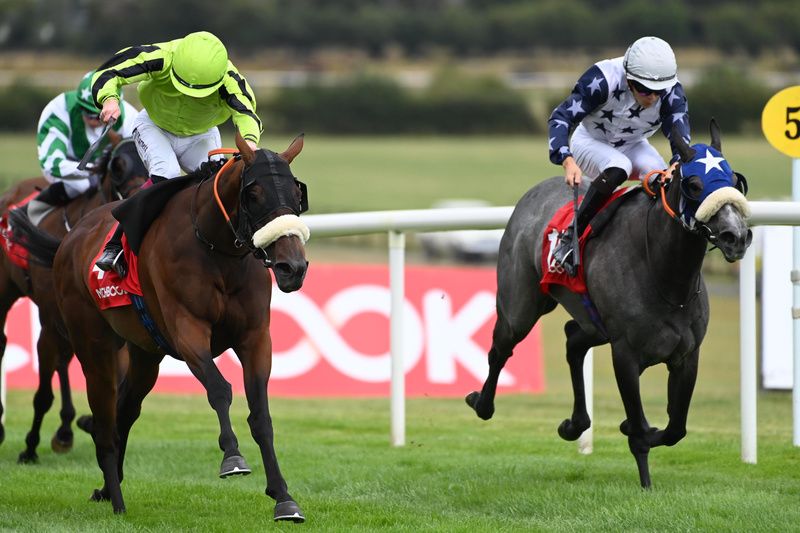 Dandy Land and Paddy Harnett (green) beat Steel Magnolia  