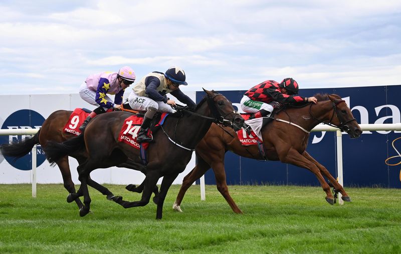 Zheleznaya Dama and Rory Cleary win for trainer Brendan Duke 