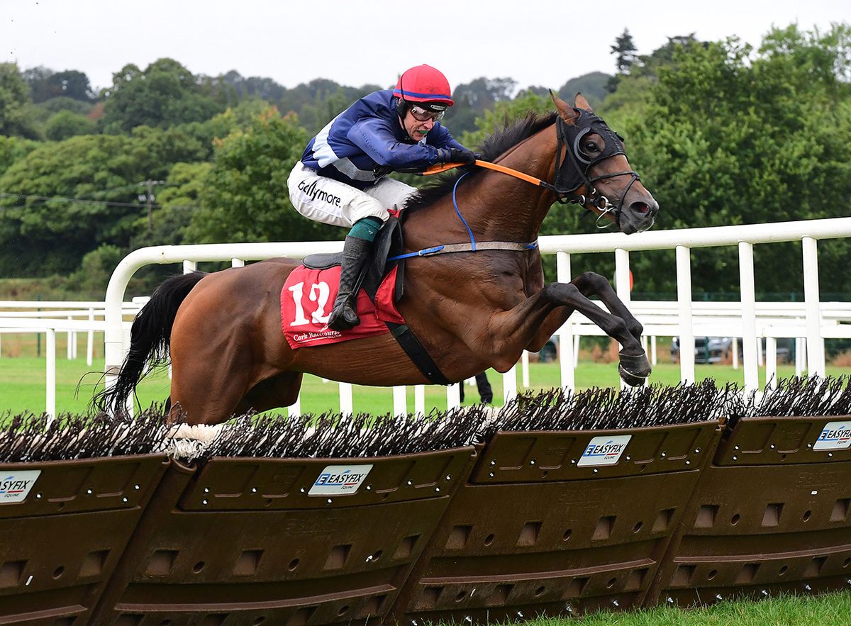 O Grady Cracker and JJ Slevin win for owner Kay Russell and trainer Andrew Slattery 