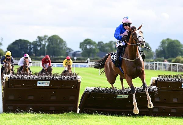Connections to target races at Killarney and Listowel for easy Roscommon winner Tumbling In
