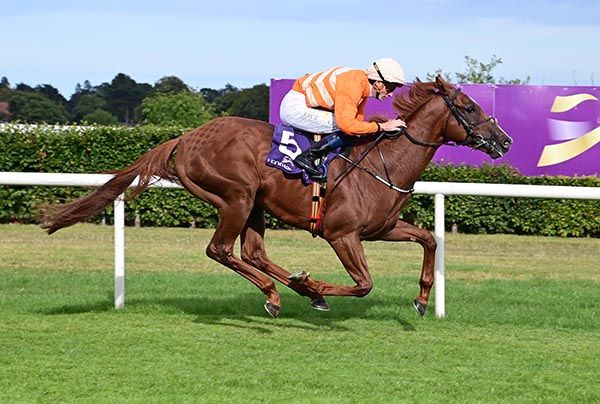Hard Promises approaches the winning post