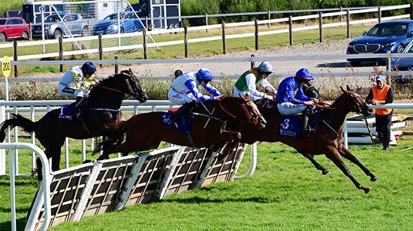 Tropical Twist Jack Kennedy Royal Blue win the Treo Eile Mares Handicap Hurdle 