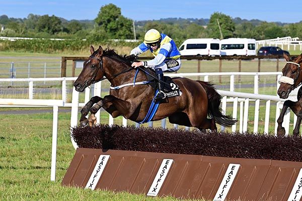 Rocky's Diamond and Michael Kenneally jump the last 