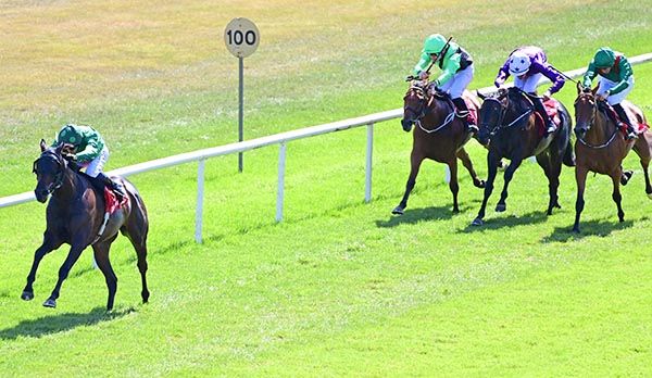 Citrus Springs and Dylan Browne McMonagle win the Irish EBF Median Sires Series Maiden 