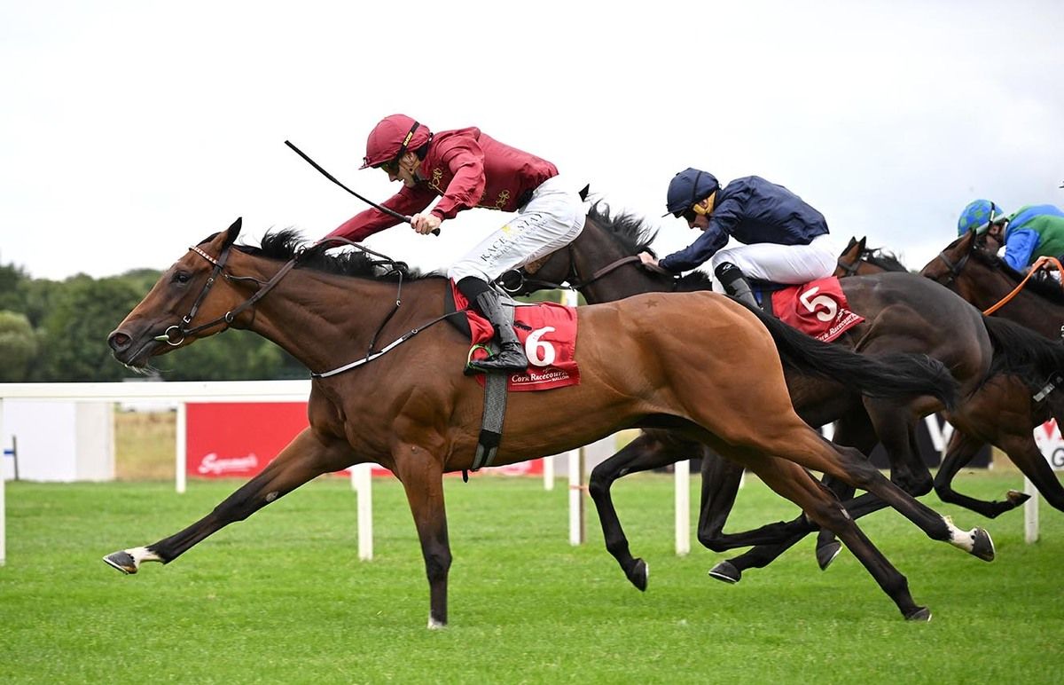 Believed (nearest) beats Amelia Earhart (navy)