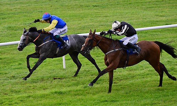 Kenny's Jewel (far side) foils Room For One More