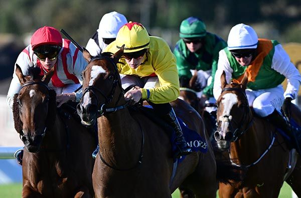Preparations Sam Coen win the Strand Inn Dunmore East Handicap 