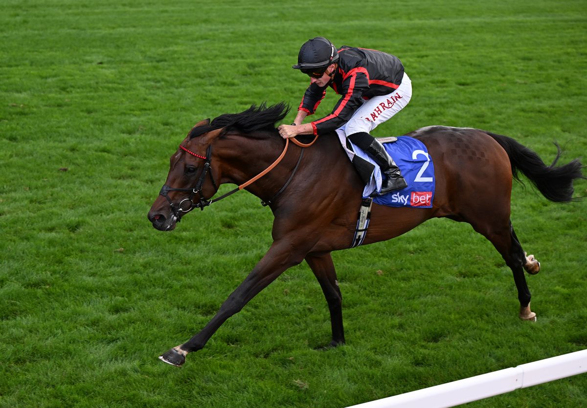 Maltese Cross and Tom Marquand winning at York
