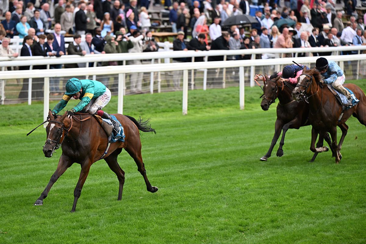 Prizeland and Oisin Murphy