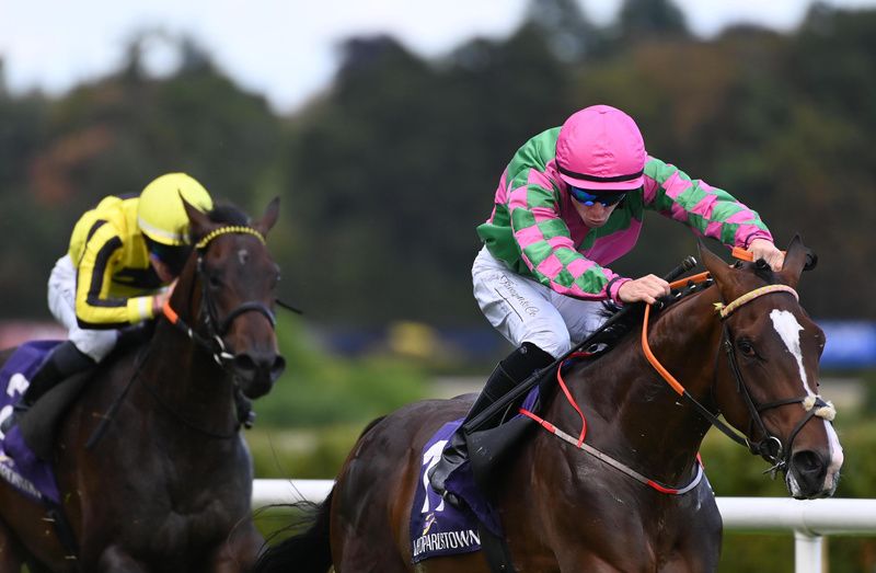Banks Of The Boyne, pink cap, tough in front
