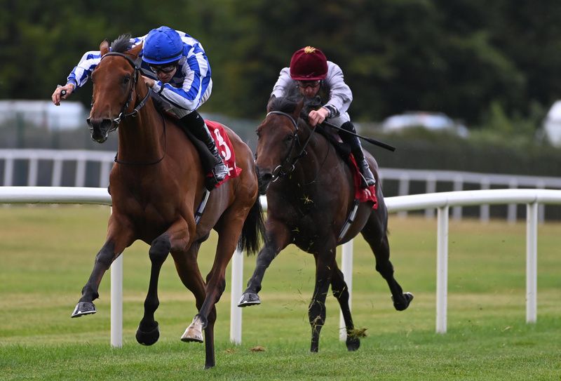 Highwayman heads for home