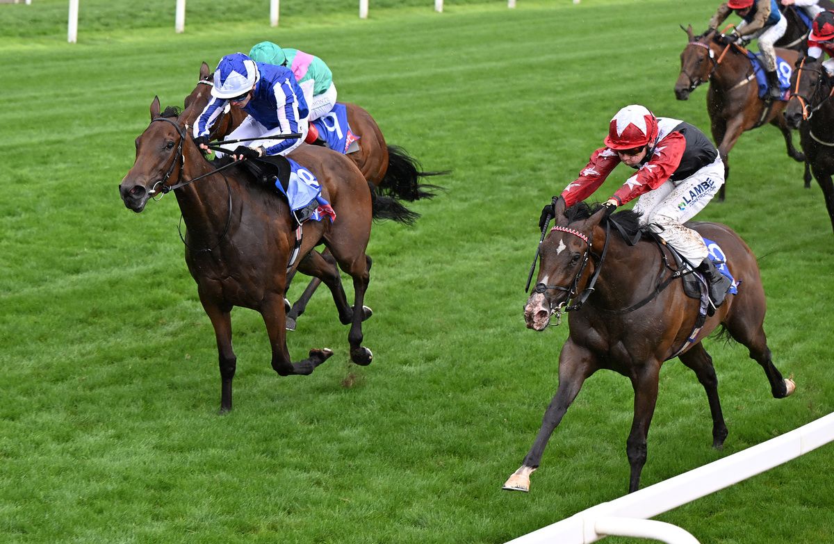 Libertango (nearest)