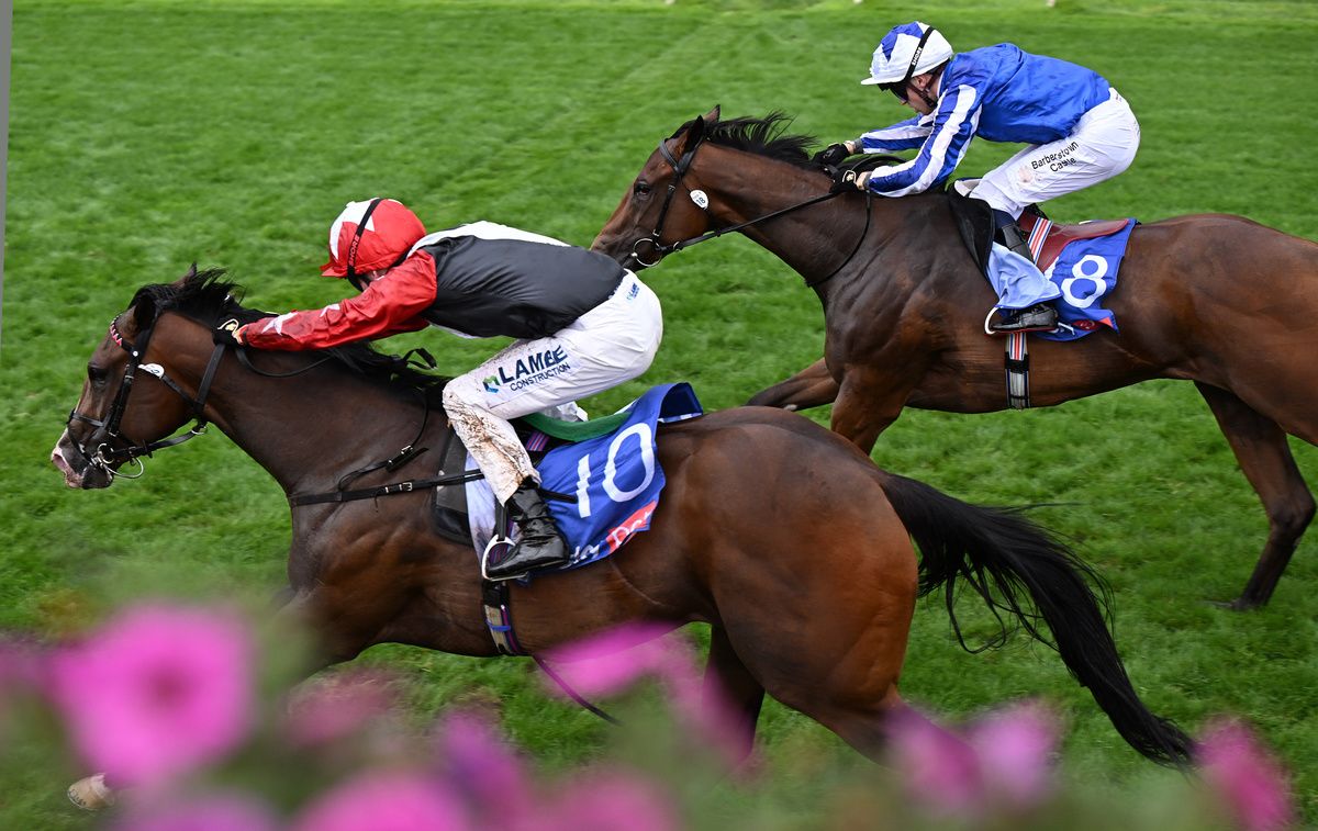 Libertango is on course for Cheveley Park Stakes 