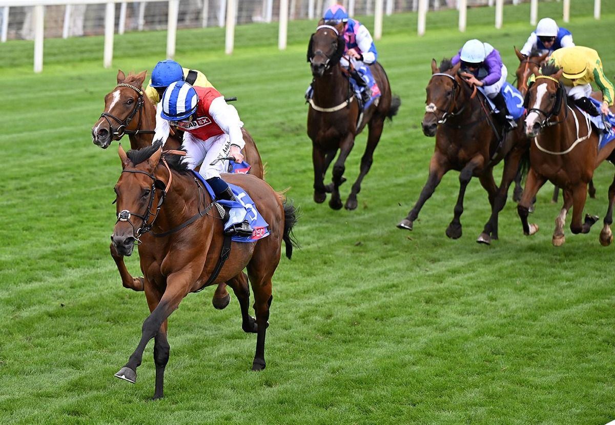 Blue Courvoisier and Rossa Ryan win for owner Alan Spence 