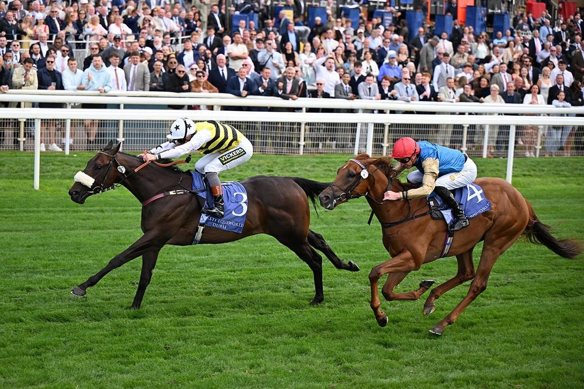 Arapaho Gold (noseband) beats Final Objective in the Gimcrack
