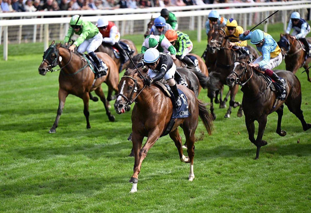 Bacio and Juan Hernandez win for owners Myracehorse and trainer Wesley Ward