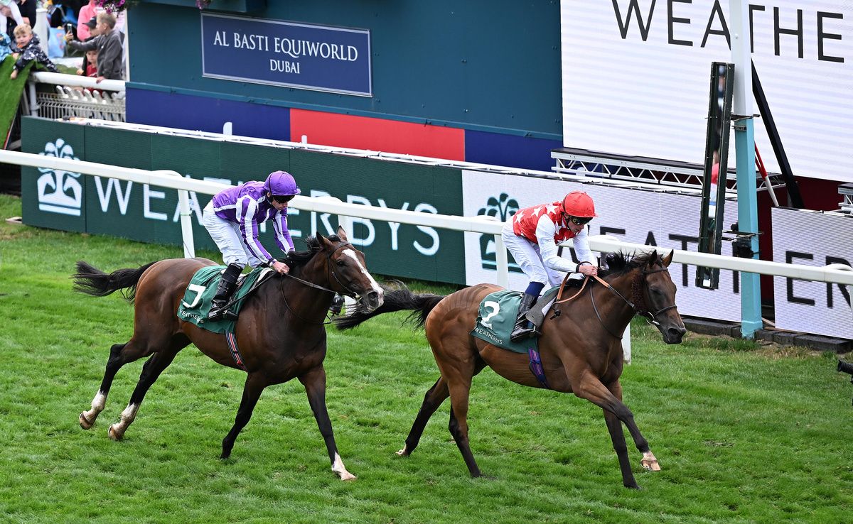 Al Nayyir winning at York
