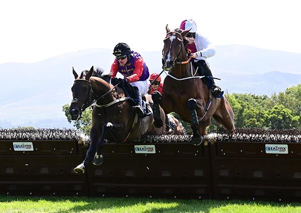  Minella Hollow  Daniel King white win the ML Lynch Civil Engineering Ltd Maiden Hurdle 