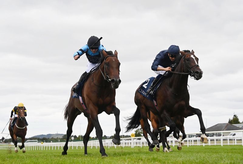 Giant Sequoia and Wayne Lordan black cap win for trainer Aidan O Brien 