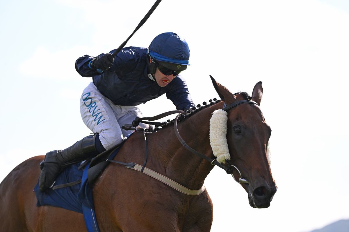 Butch Cassidy and Darragh O Keeffe win for trainer Henry de Bromhead Healy Racing