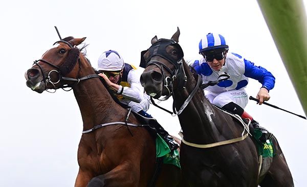 Camino Lad and Colin Keane(near side)