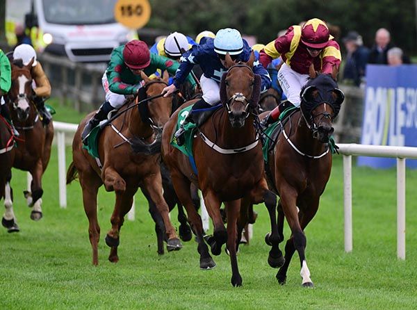 Wegotogether and Gary Carroll 