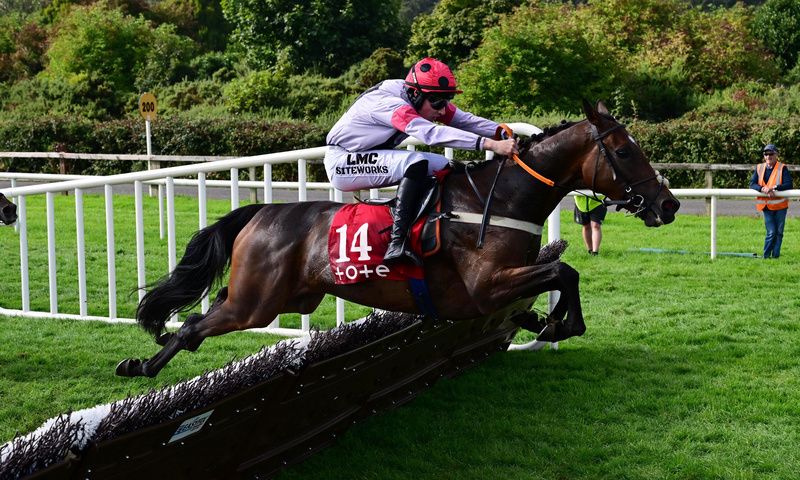 Thesilverbridle and Alex Harvey 