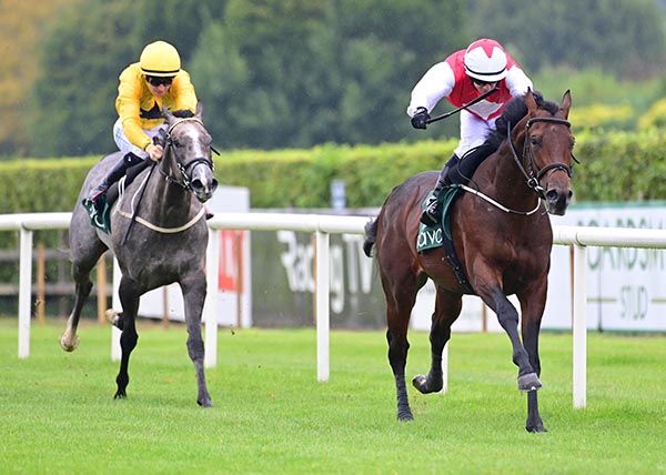 Atlantic Bridge and Wayne Lordan 