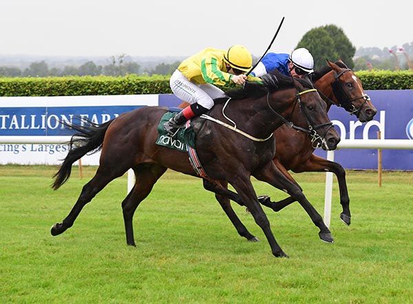 This That and Colin Keane (nearest) beat Leadlight 