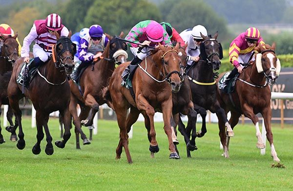 Nephin Mountain and Wesley Joyce (pink cap) lead them home