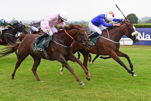 Avec Grand Plaisir and Ronan Whelan (blue & white) hold Sheamus Seimhiu 